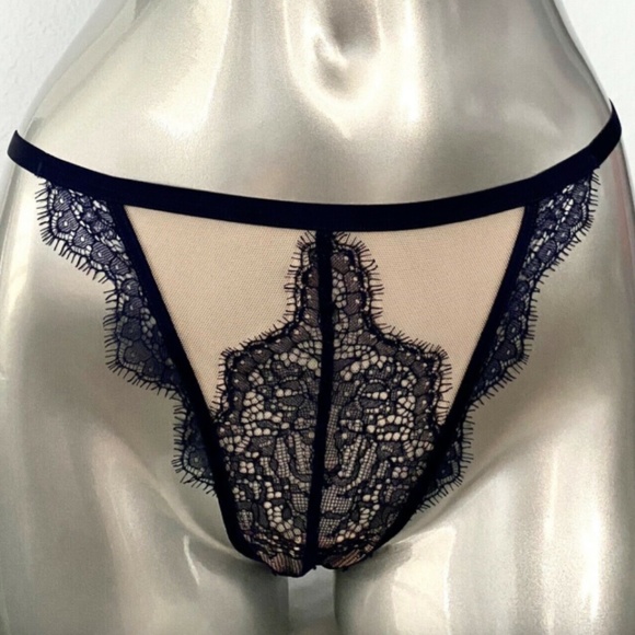 Victoria's Secret Other - Victorias Secret VS Nwt Sexy Mesh & Blue Lace String Itsy Panty Medium